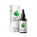 Skrzyp Polny Ekstrakt Roślinny 500 mg Krople 50 ml w Płynie Aura Herbals