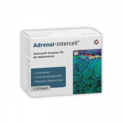Adrenal-Intercell Komplex Wsparcie Układu Nerwowego (120 kaps) Mito-Pharma