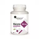 Niacyna Amid Kwasu Nikotynowego 500 mg Witamina B3 (100 kaps) Aliness