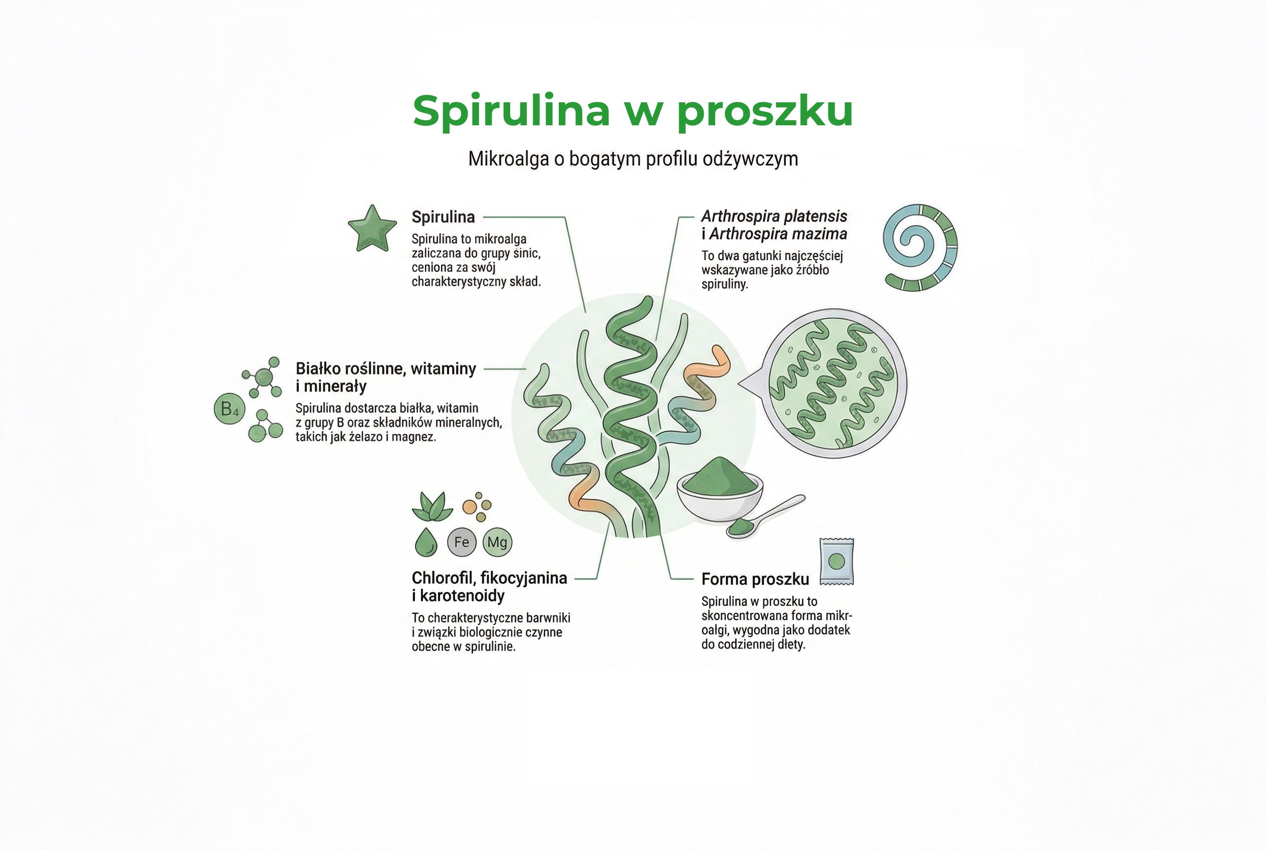 Spirulina w proszku