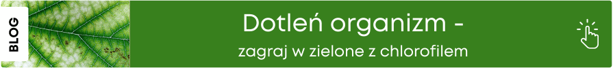 Chlorofil - Dlaczego warto pić? Poznaj jego prozdrowotne właściwości!