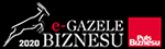 e-Gazele Biznesu 2020