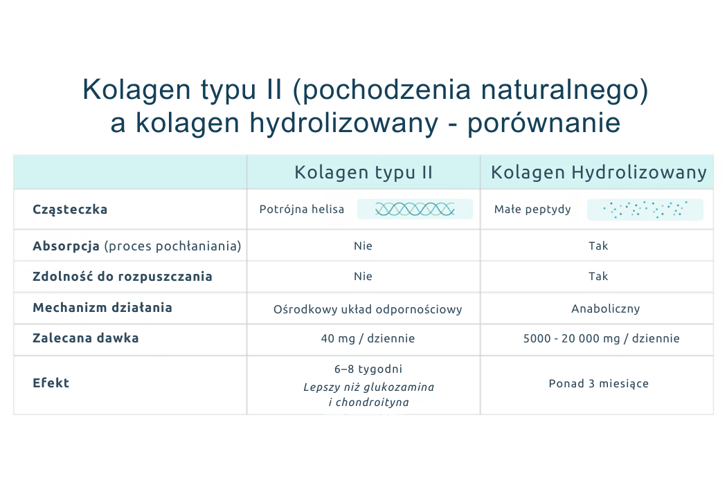 Kolagen typu II (pochodzenia naturalnego) a kolagen hydrolizowany - porównanie