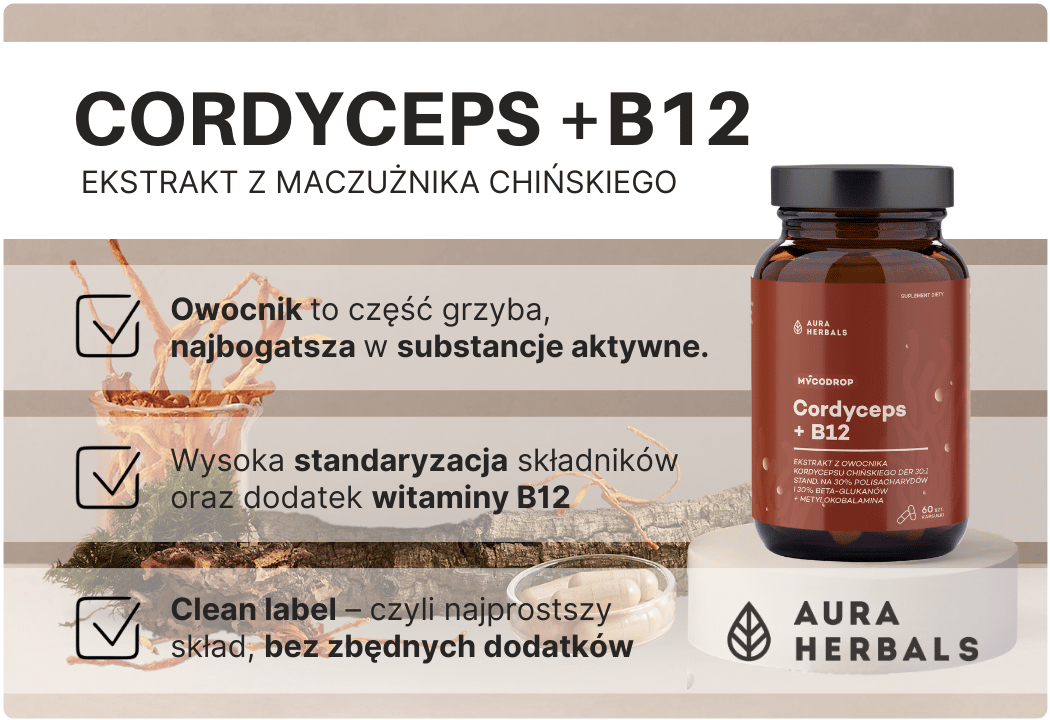 Cordyceps - Ekstrakt z Owocnika Kordyceps Chiński 30:1 + Witamina B12 Mycoodrop (60 kaps) Aura Herbals