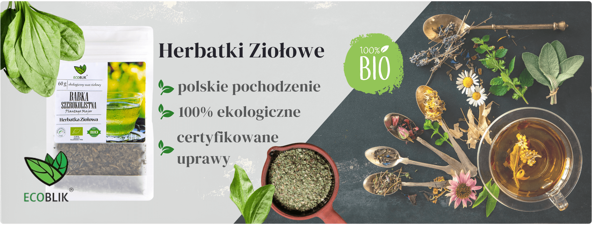 Babka szerokolistna 60g Herbatka ziołowa EcoBlik