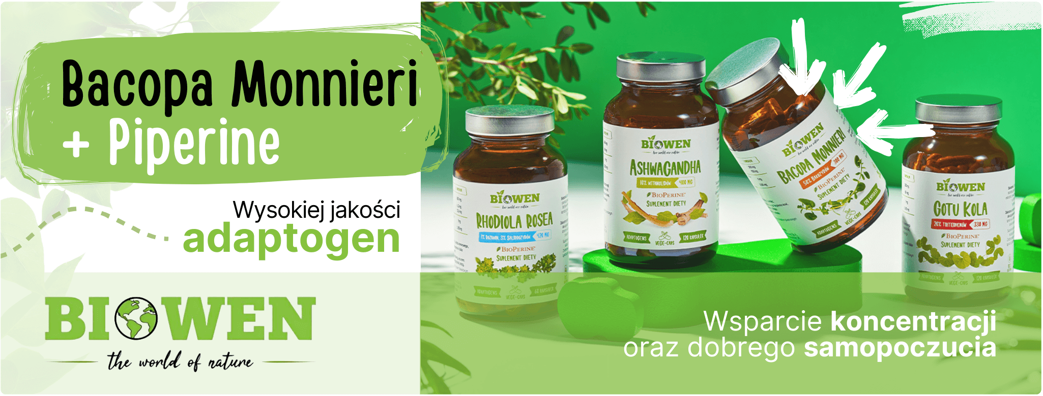 Bacopa Monnieri 300 mg Biowen