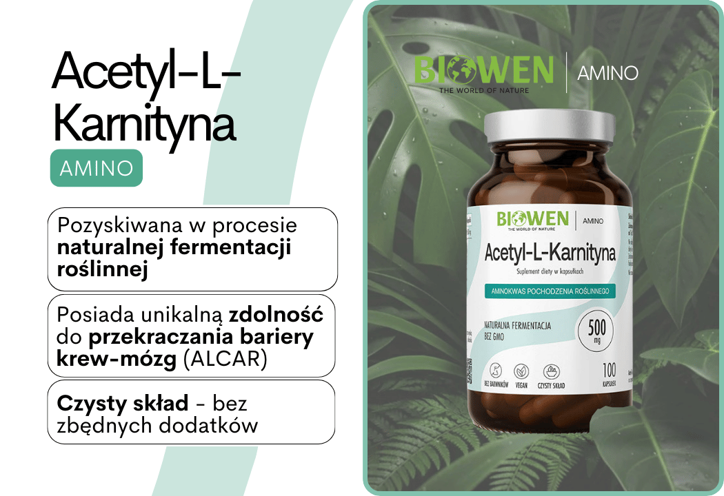 Acetyl-L-Karnityna 500 mg (100 kaps) Biowen