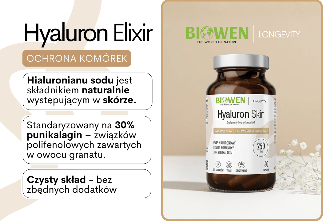 Hyaluron Skin Kwas Hialuronowy Granat 250 mg (60 kaps) Biowen