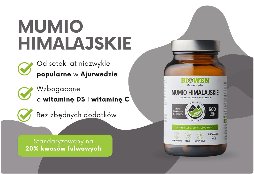 Mumio Himalajskie Ekstrakt Shilajit 20% Kwas Fulwowy 500 mg (90 kaps) Biowen