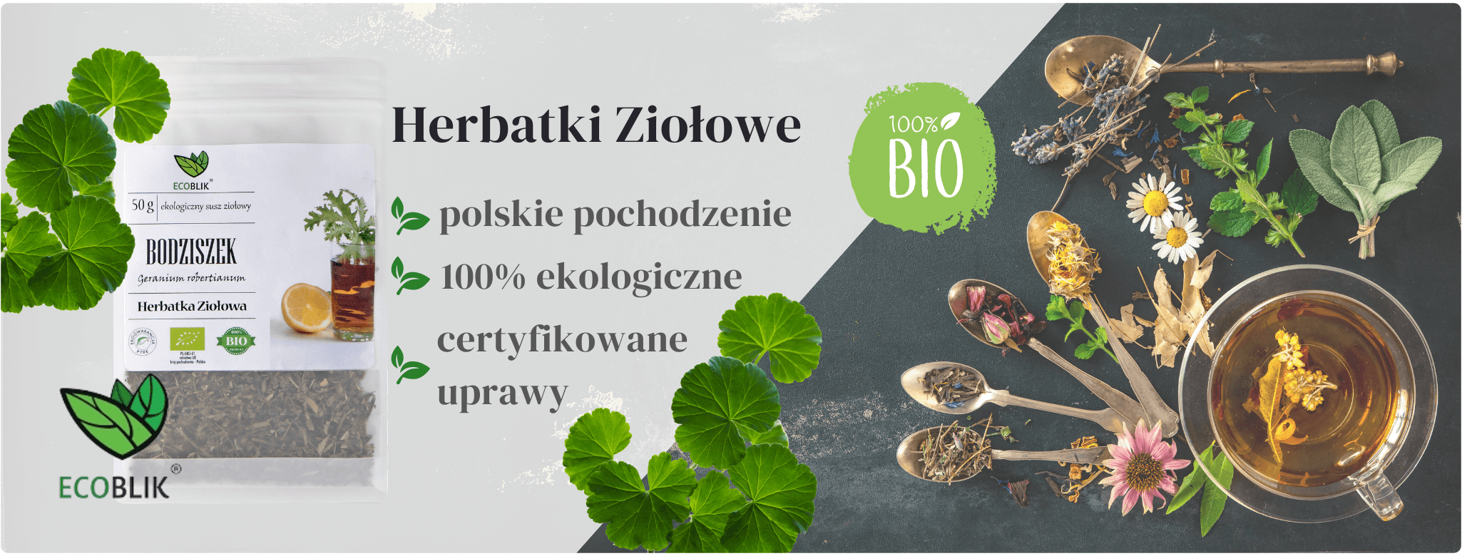 Bodziszek ziele 50g Herbatka ziołowa EcoBlik