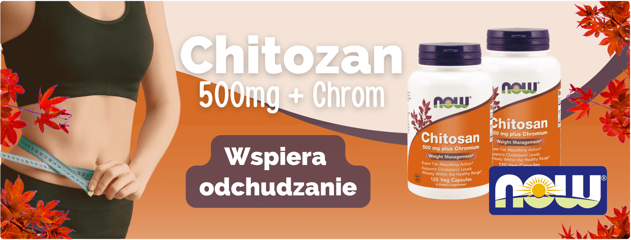 Now Foods Chitosan