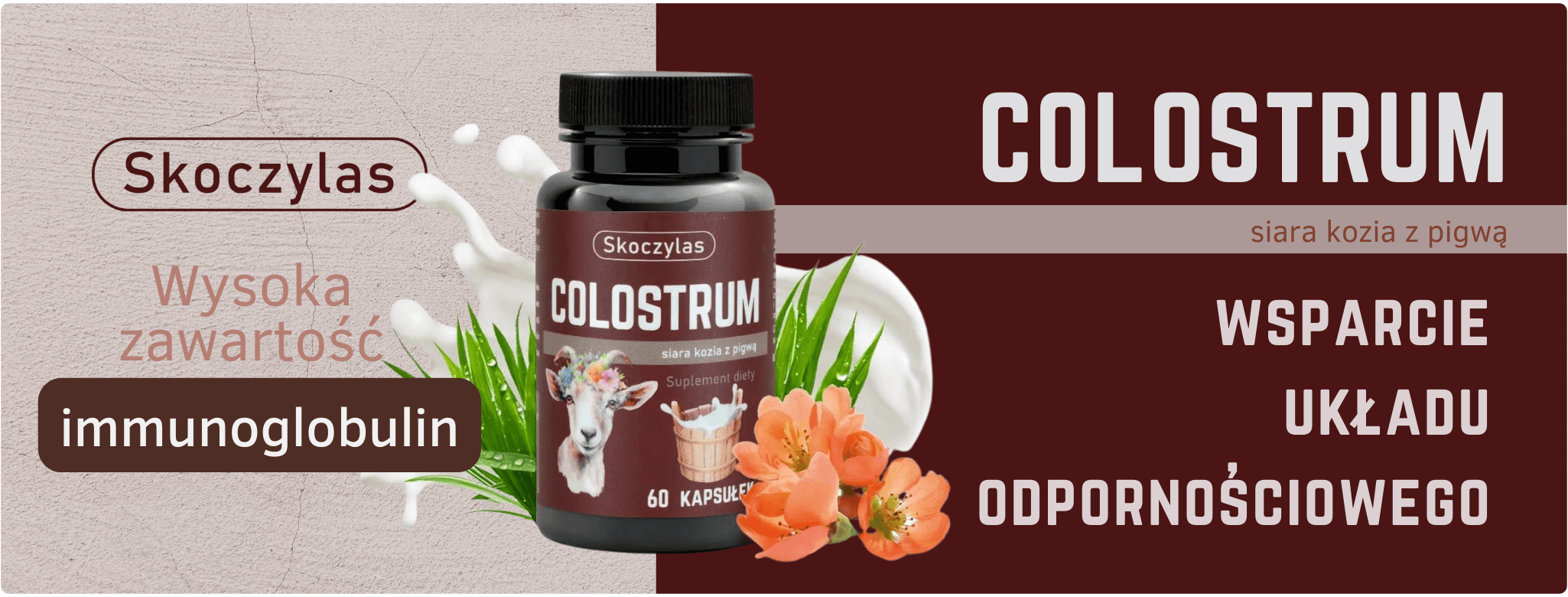 Colostrum Siara Kozia z Pigwą