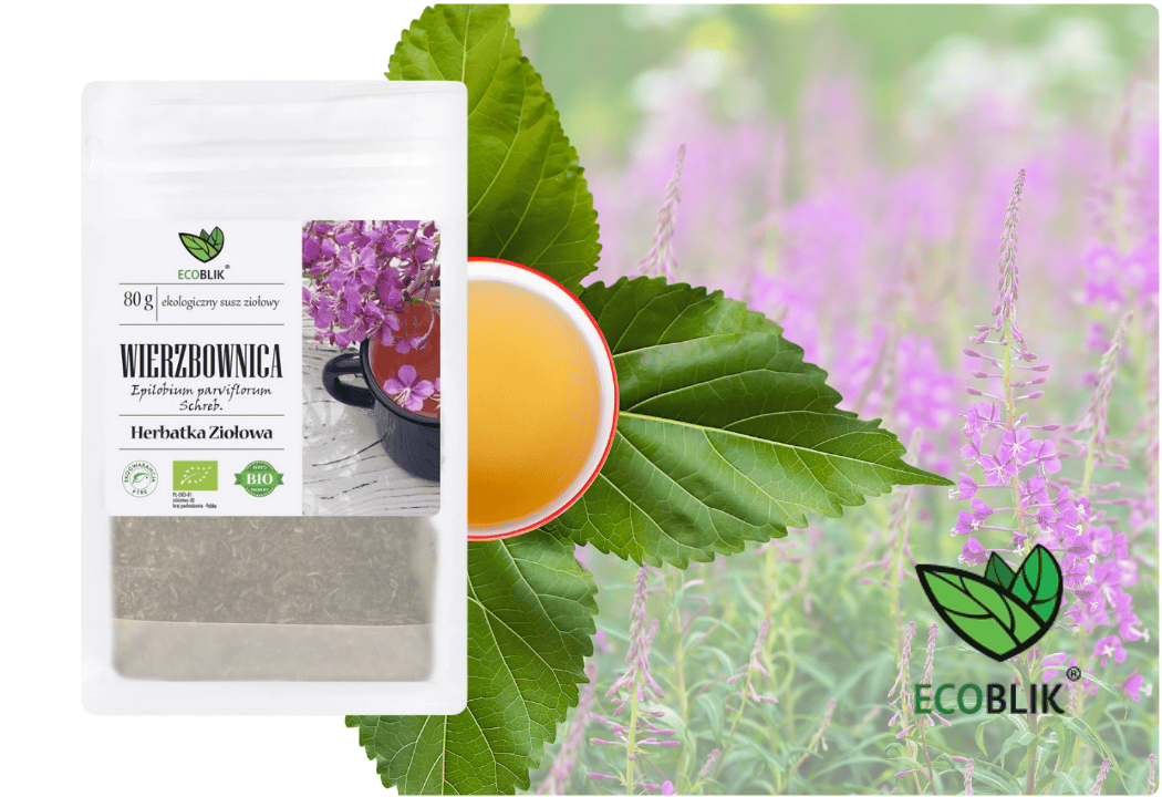 Wierzbownica drobnokwiatowa