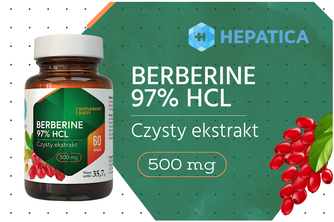 Berberine 97% HCL Ekstrakt z Korzenia Berberysu 500 mg (60 kaps) Hepatica