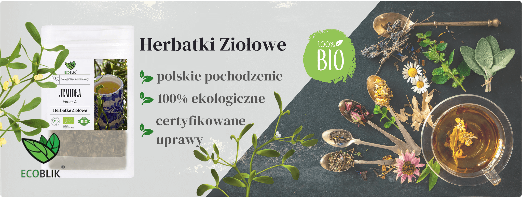 Jemioła ziele 100g Herbatka ziołowa EcoBlik