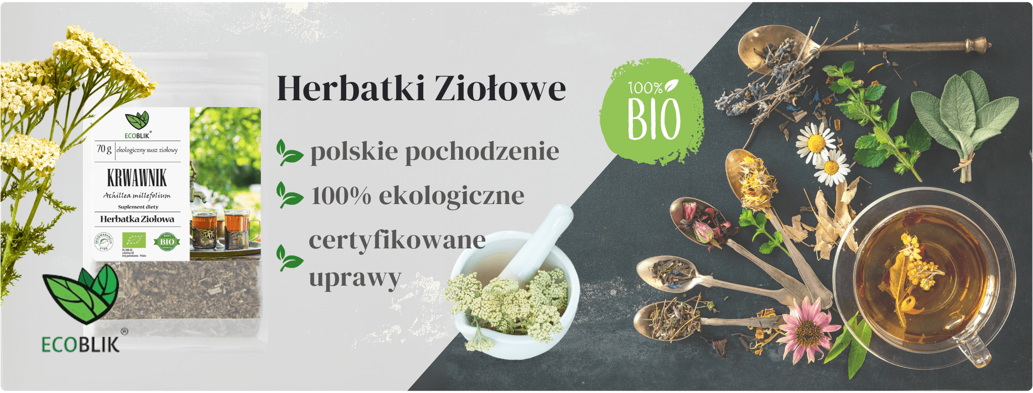 Krwawnik 70g Herbatka ziołowa EcoBlik