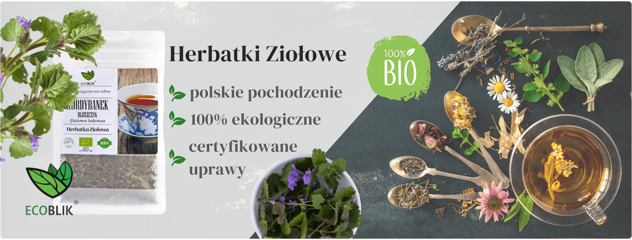 Kurdybanek Bluszczyk 60g Herbatka ziołowa EcoBlik