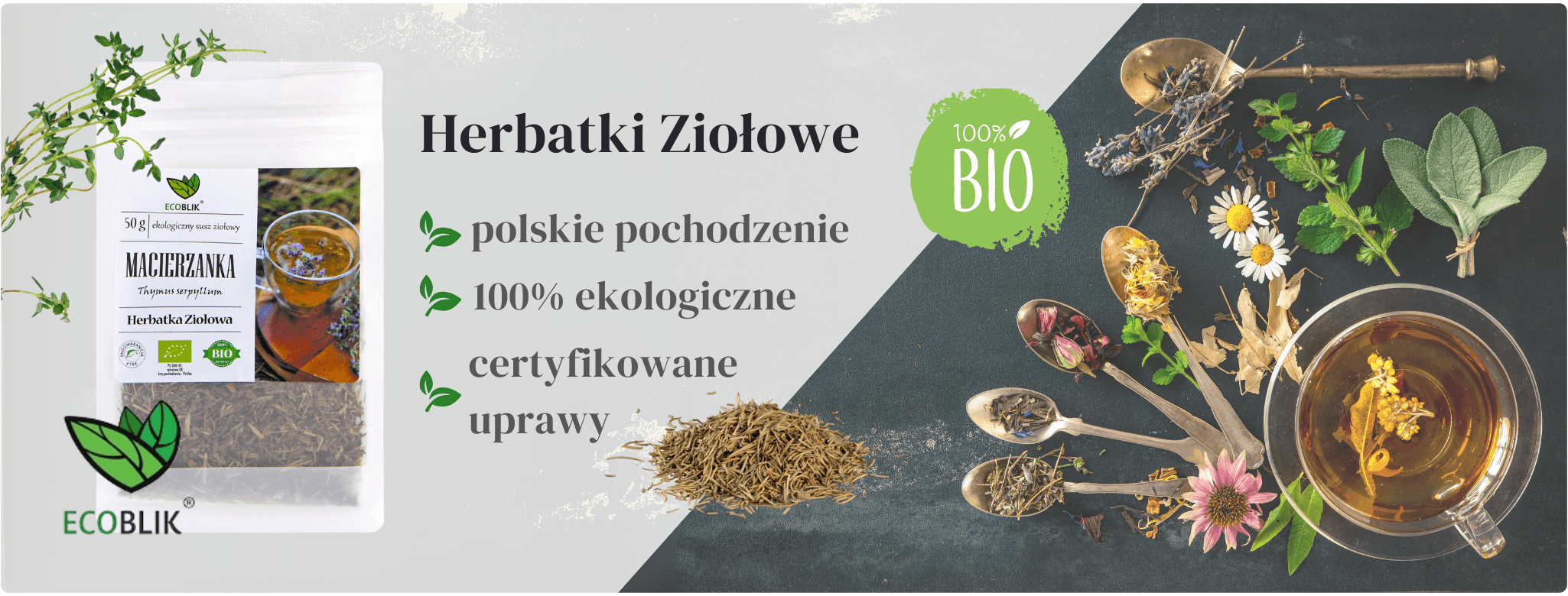 Macierzanka Herbatka ziołowa EcoBlik