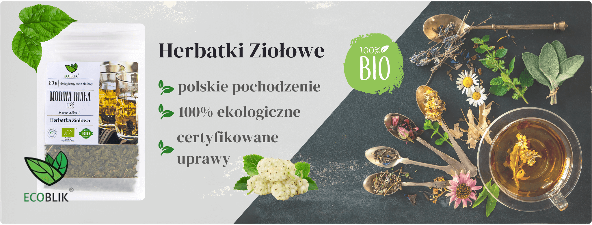 Morwa biała Herbatka ziołowa EcoBlik