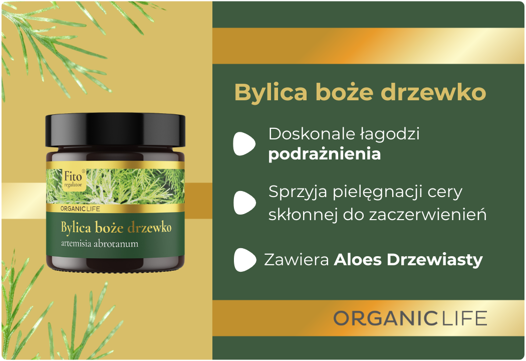 Aloes Drzewiasty Fitoregulator