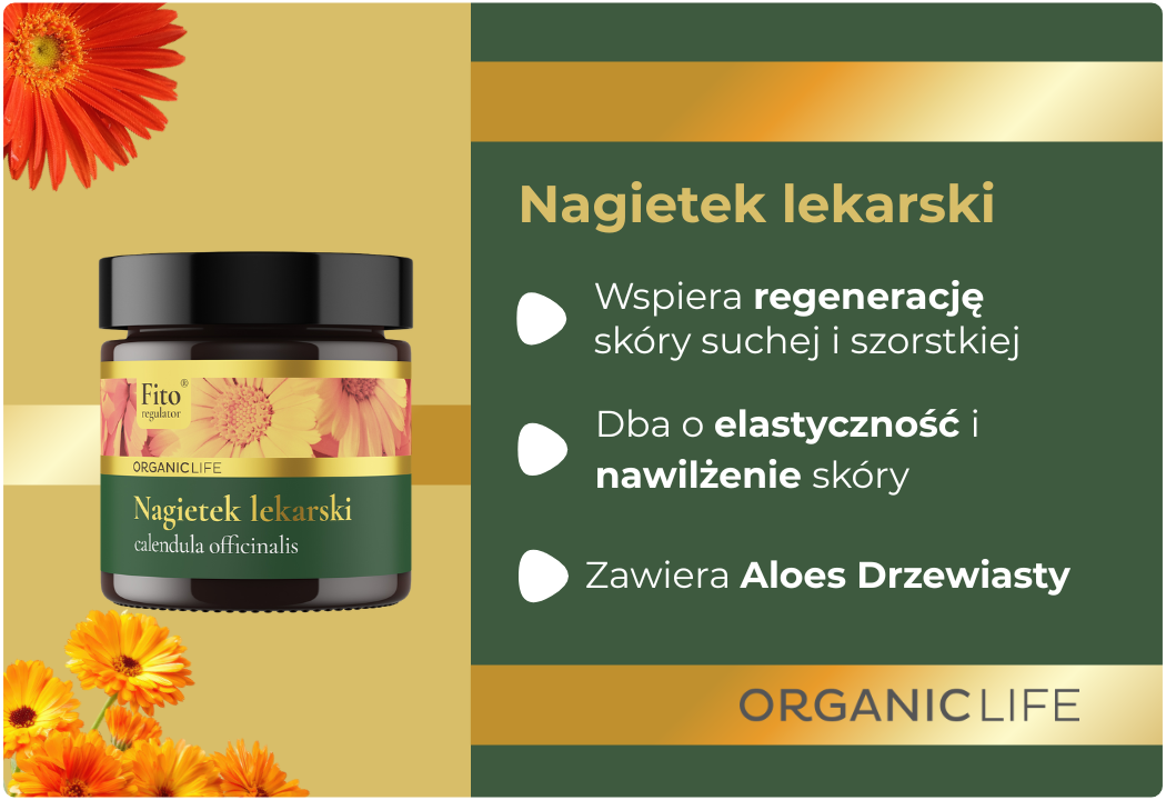 Aloes Drzewiasty Fitoregulator