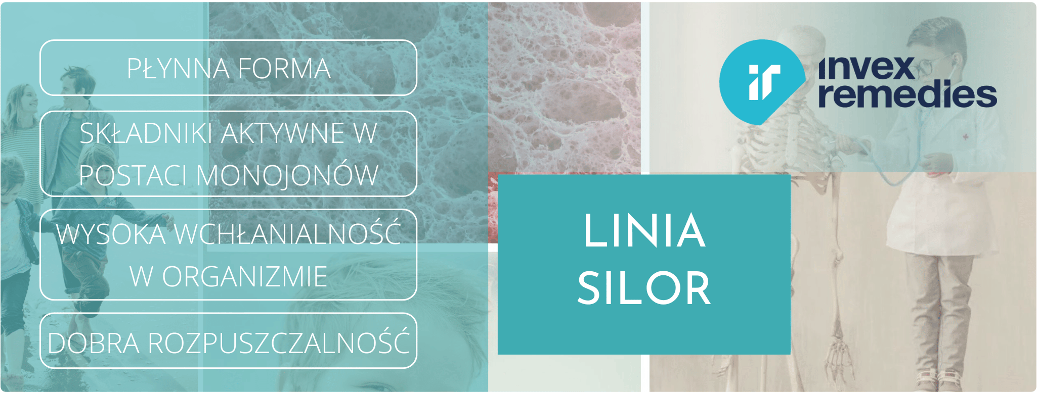 Linia Silor B+