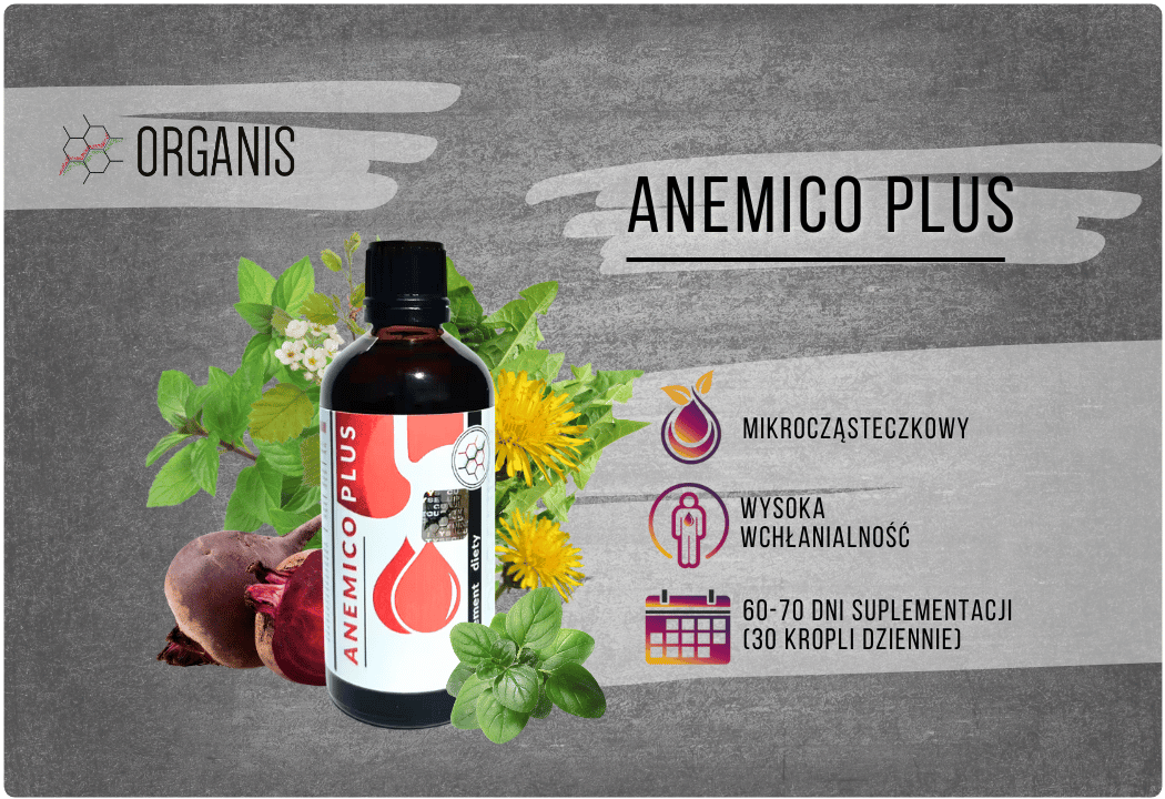 Anemico Plus Wyciąg Ziołowy Witaminy 100 ml Organis