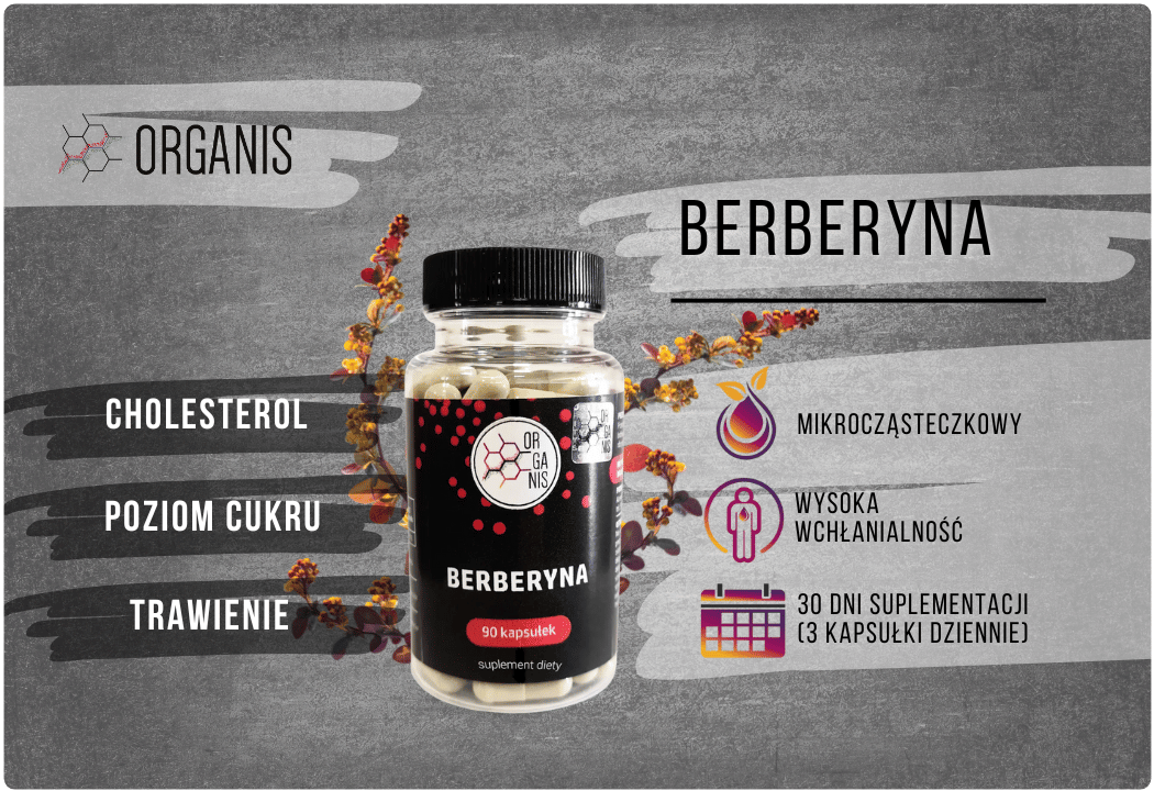 Berberyna Korzeń 260 mg Berberys Pospolity (90 kaps) Organis