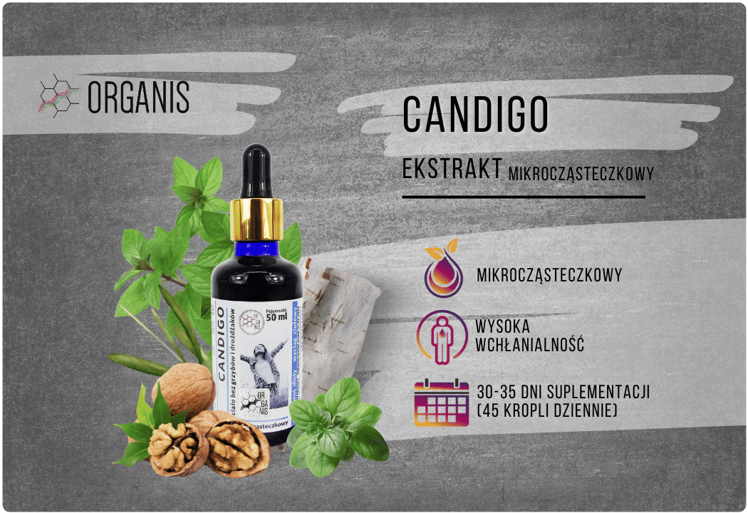 Candigo Ekstrakt Mikrocząsteczkowy 50 ml Organis