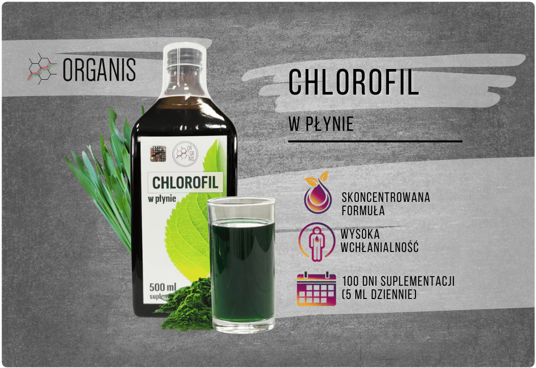 Chlorofil w Płynie 500 ml Organis