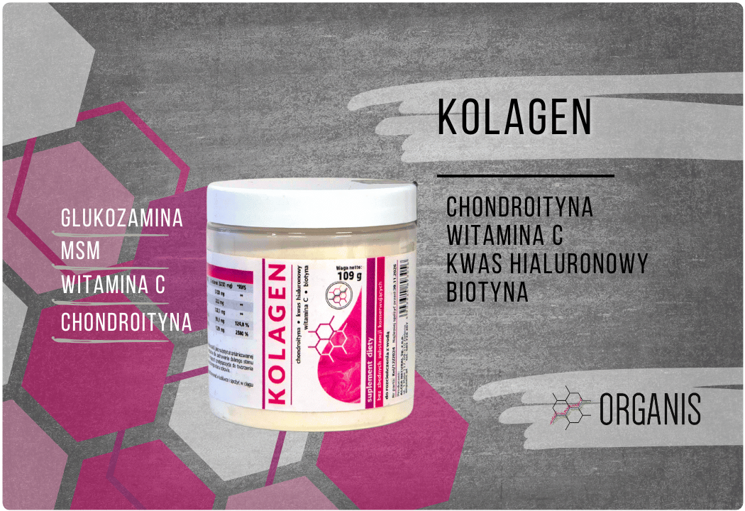 Kolagen Chondroityna Kwas Hialuronowy Proszek 109 g Organis