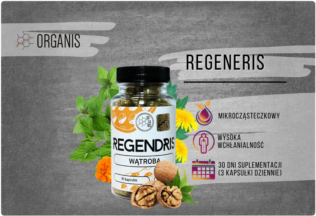 Regendris Wątroba (90 kapsułek) Organis