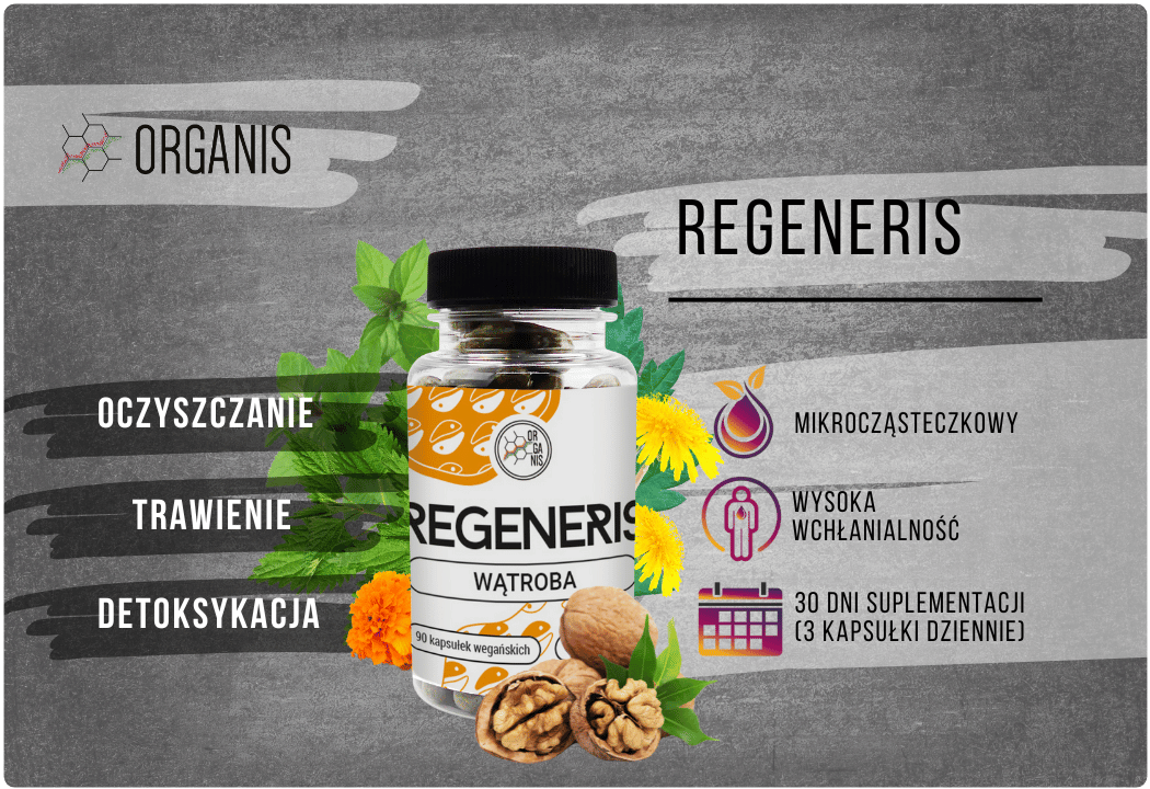 Regeneris 300 mg Wątroba (90 kapsułek) Organis