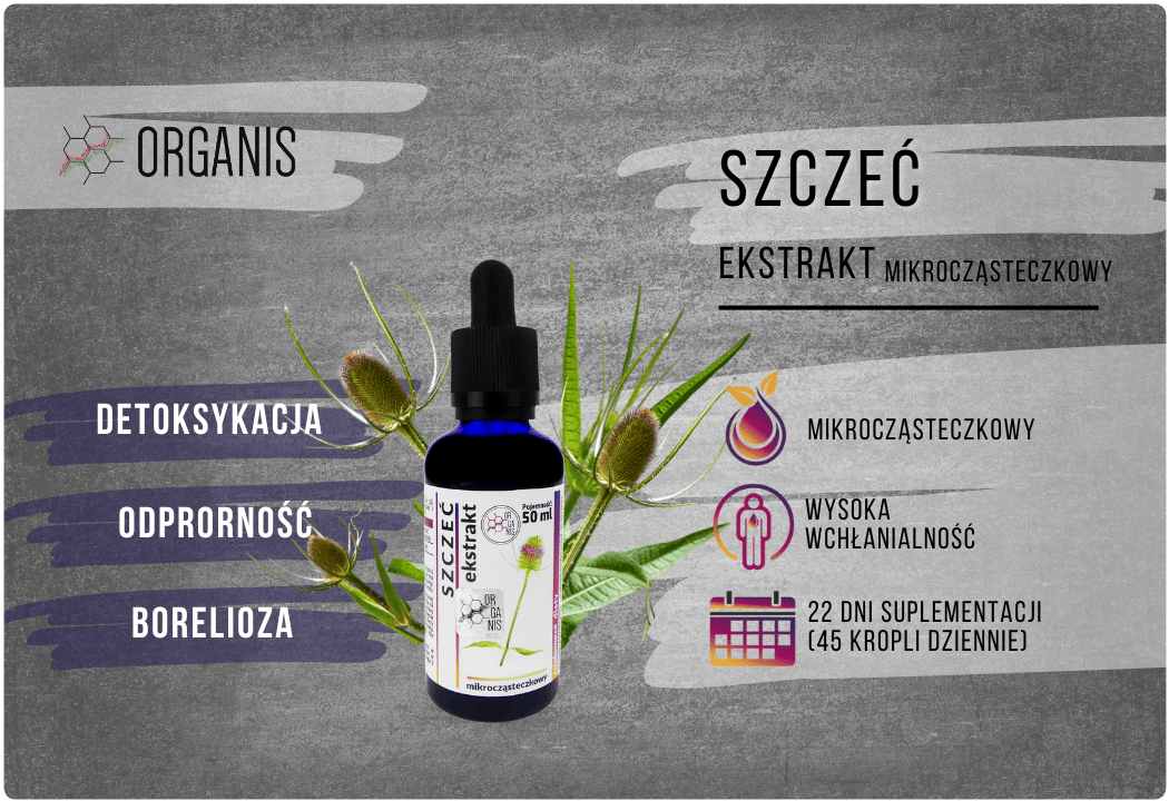 Szczeć Ekstrakt Mikrocząsteczkowy 50 ml Organis