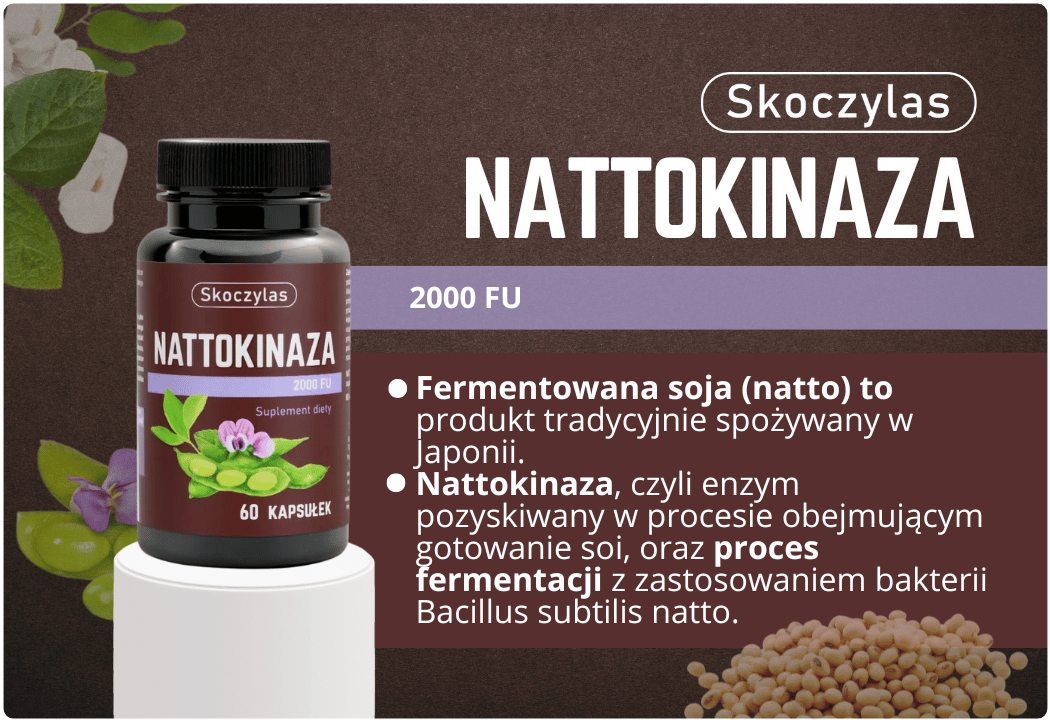 Nattokinaza 2000 FU (60 kaps) Skoczylas