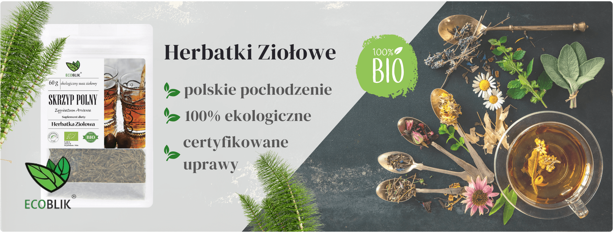 Skrzyp polny Herbatka ziołowa EcoBlik