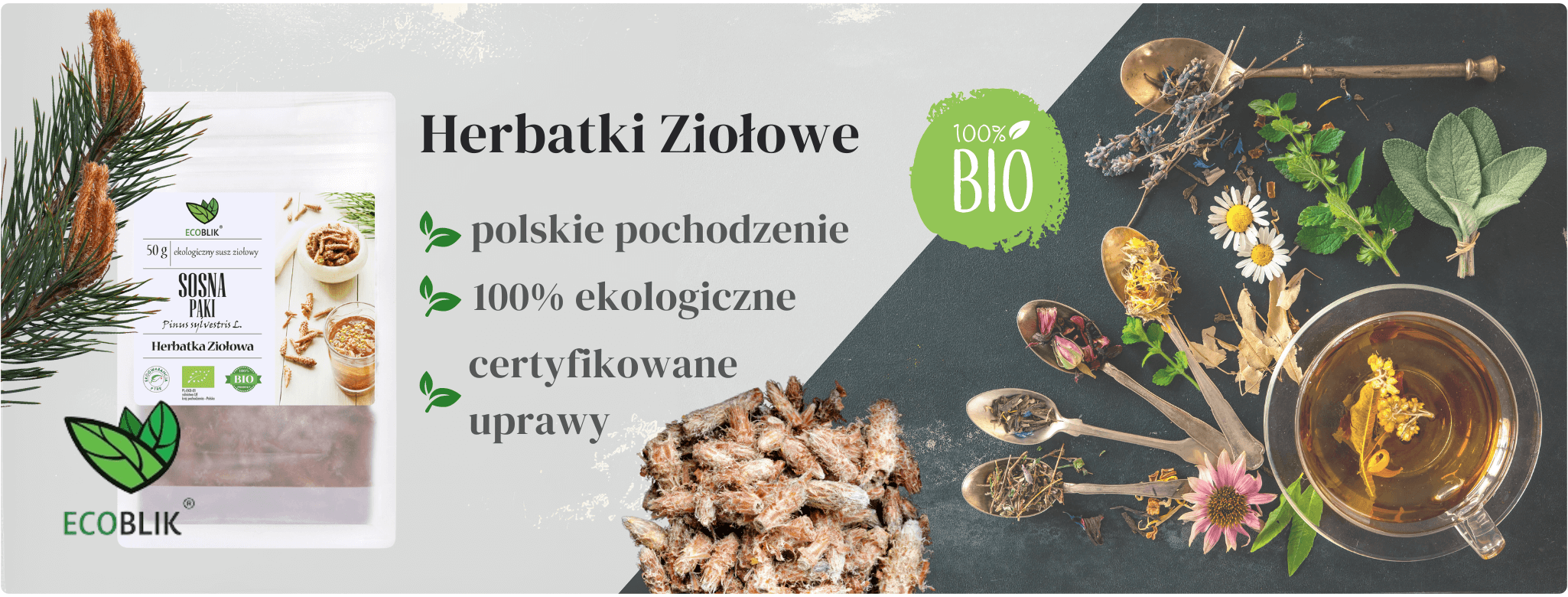 Pąki Sosny Suszone Eko 50g Herbatka ziołowa EcoBlik