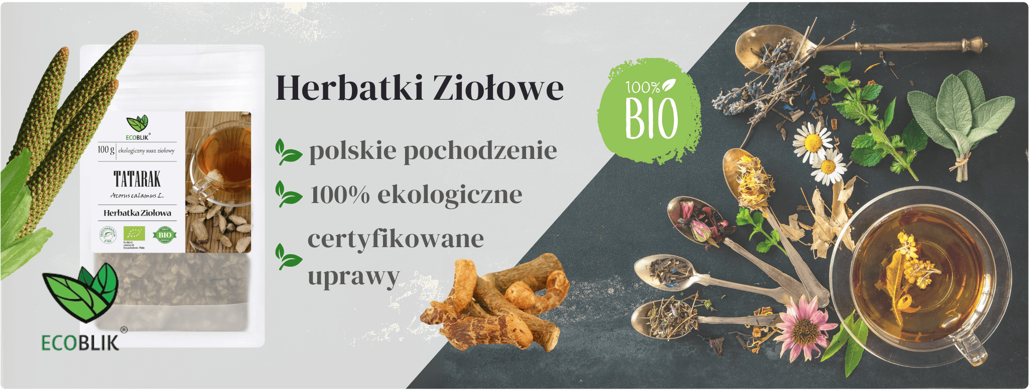 Tatarak Kłącze 100g Herbatka ziołowa EcoBlik