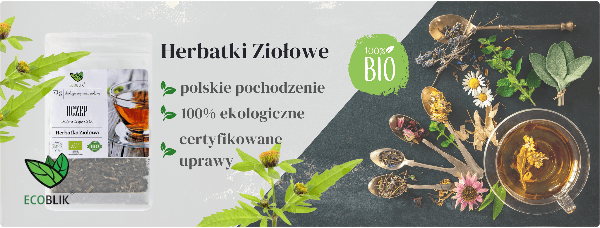 Uczep Trójlistkowy Suszony Eko 70g Herbatka ziołowa EcoBlik