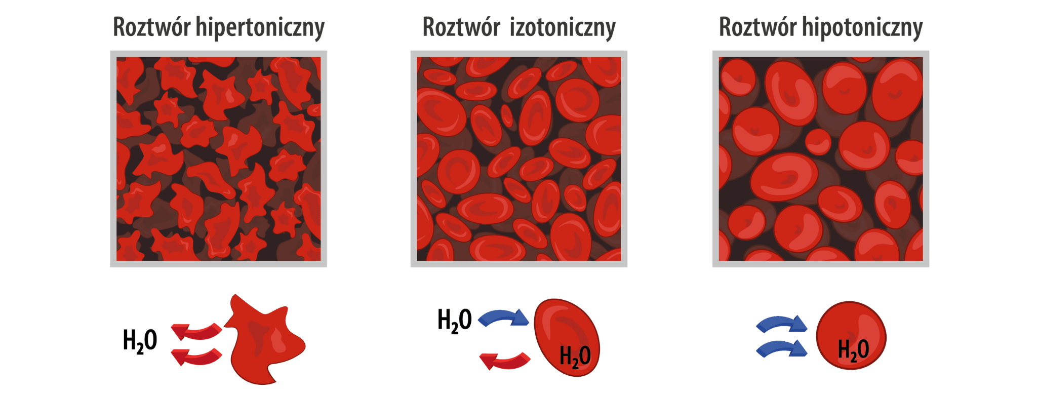 All Hydrate Osmolalność