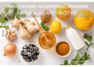 Naturalne antybiotyki. Skuteczna ochrona zdrowia bez chemii