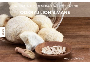 Odkryj Lion’s Mane (Soplówka jeżowata) i inne - nootropiki, czyli naturalna regeneracja i pobudzenie