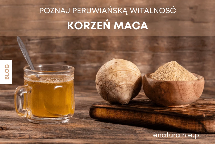 Korzeń Maca – jakie właściwości drzemią w peruwiańskim żeń-szeniu?